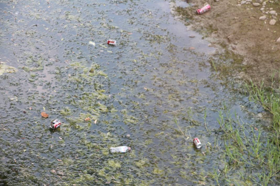 Seyhan Nehri’nin rengi değişti. Bu görüntünün sebebi ne? - Resim: 8